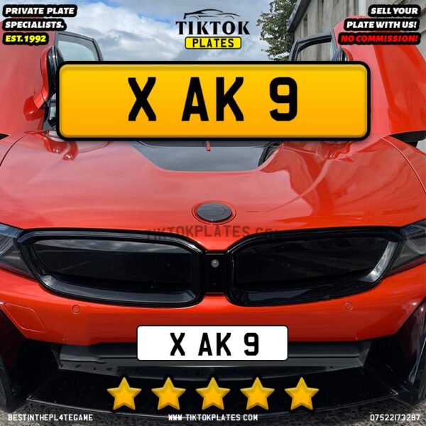 X AK 9 - Image 4